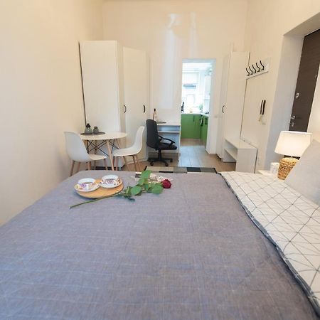 Central Bright Apartment クルージュ＝ナポカ エクステリア 写真