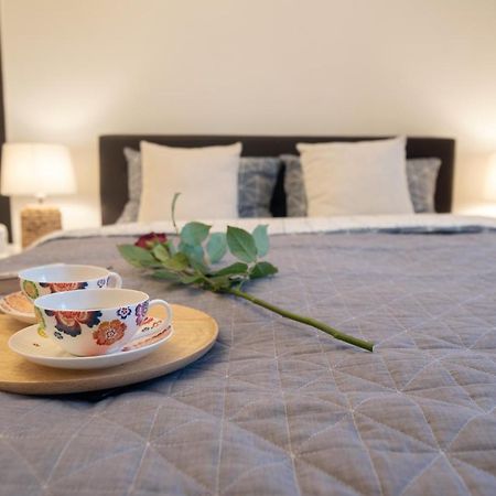 Central Bright Apartment クルージュ＝ナポカ エクステリア 写真