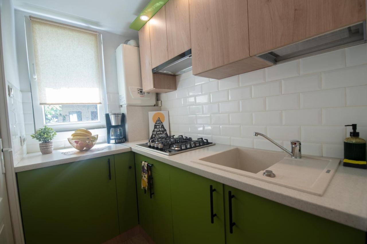 Central Bright Apartment クルージュ＝ナポカ エクステリア 写真