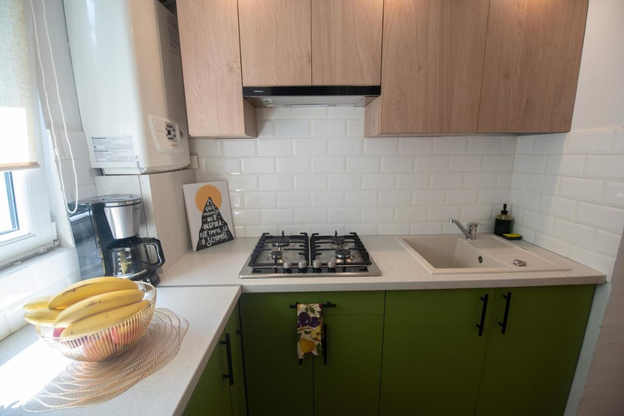 Central Bright Apartment クルージュ＝ナポカ エクステリア 写真