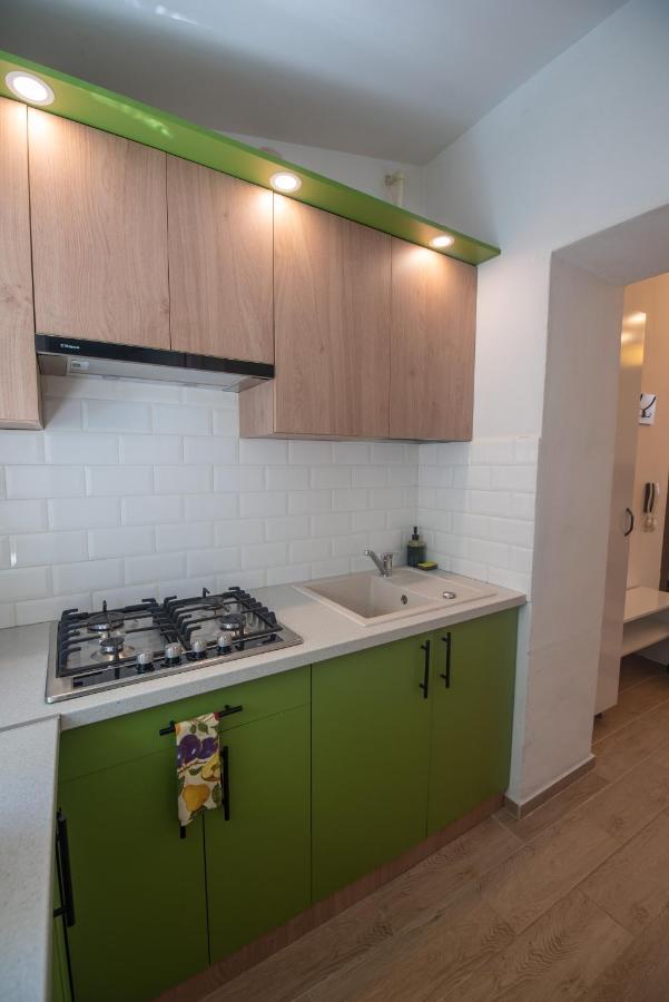Central Bright Apartment クルージュ＝ナポカ エクステリア 写真